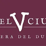 V.ciudad فندق اراندا دي دويرو