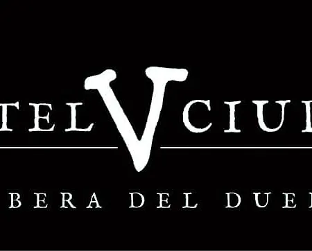 V.ciudad Hotel