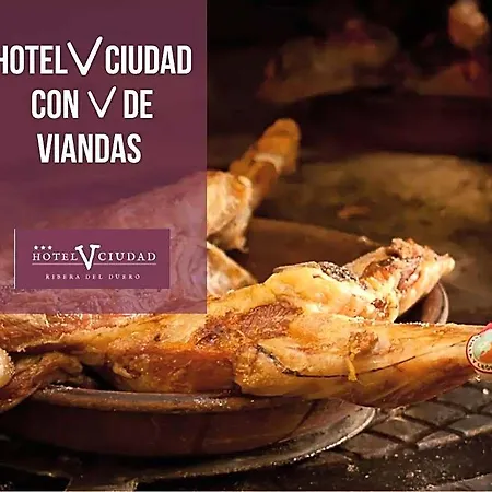 Hotel V.ciudad Aranda de Duero