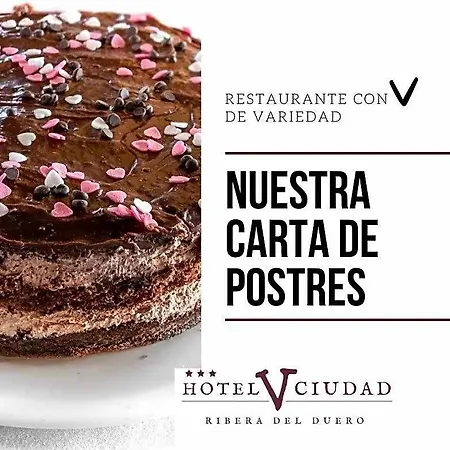 Hotel V.ciudad