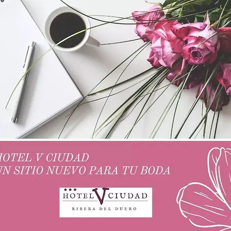 Hotel V.ciudad Aranda de Duero