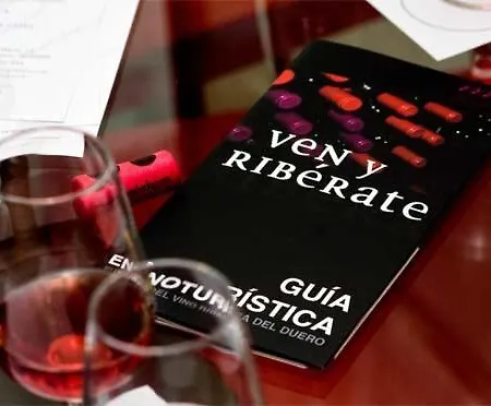 Hotel V.ciudad 3*