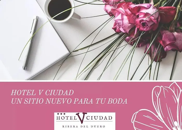 Отель V.ciudad Аранда-де-Дуэро