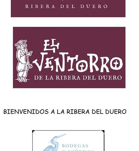 Отель V.ciudad Аранда-де-Дуэро